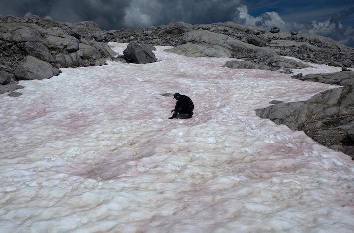 イタリア北部プレゼナ氷河も、氷河が赤くなった......  @DiMauro_b-twitter