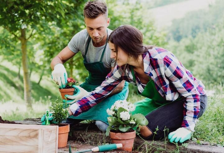 低強度の身体活動がとりわけ脳に重要である可能性がある　FilippoBacci-iStock