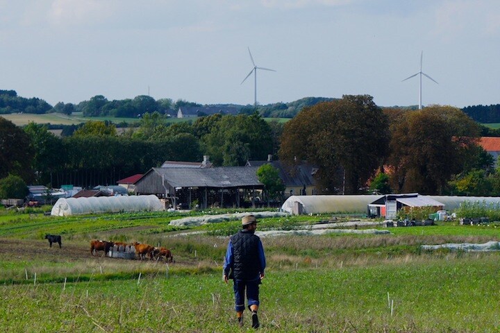 有名レストランのシェフが作った農園　photo:松岡由希子