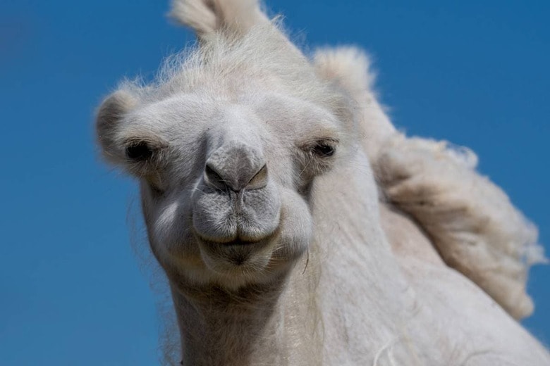 （写真はイメージです）　Binnerstam-iStock