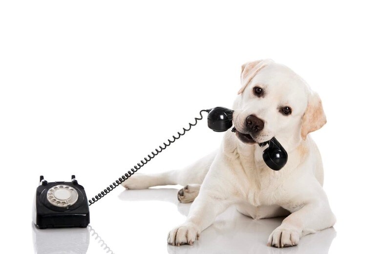 （写真はイメージです）　erikreis-iStock