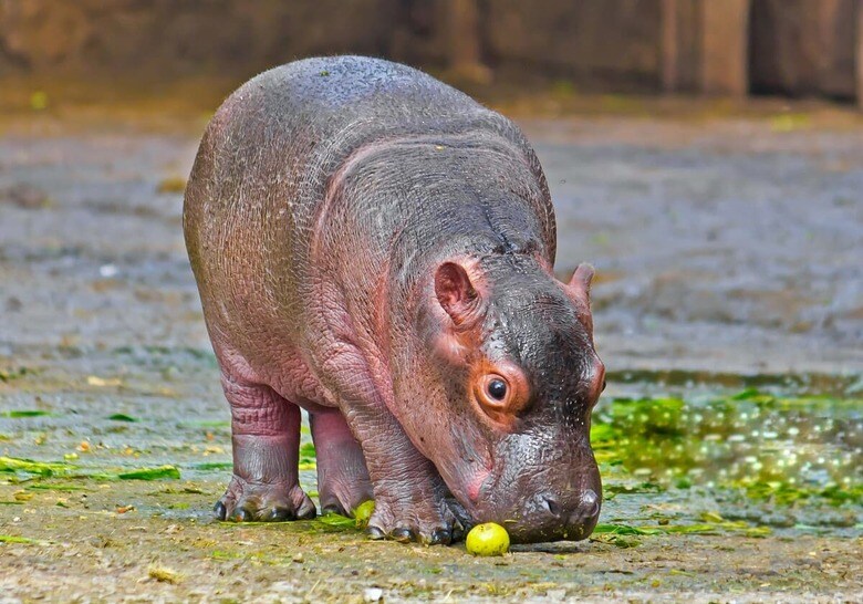 （写真はイメージです）　vbel71-iStock