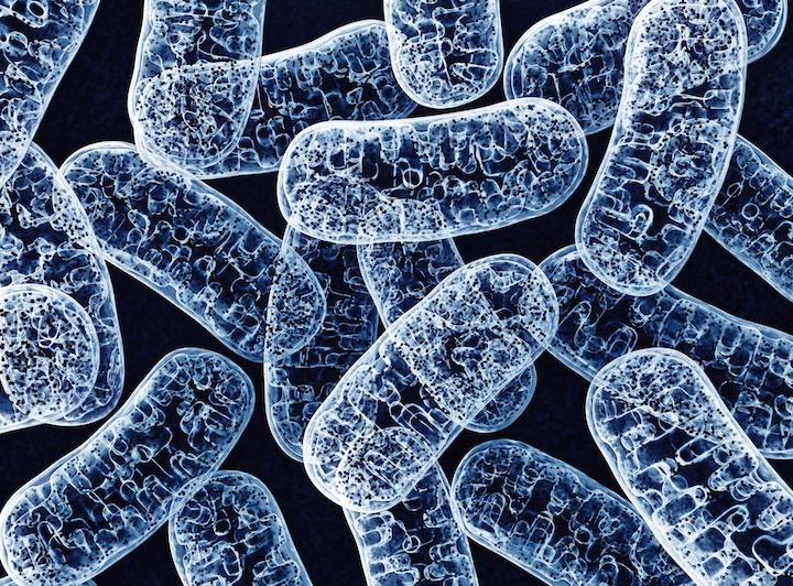 ミトコンドリアDNAの新たな編集技術が開発された...... wir0mani-iStock