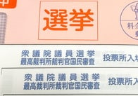 白票が「信任」になるって知ってた？　衆議院総選挙と同時に行われる最高裁国民審査とは