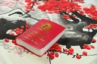 トランプが決めたことに文句は言えない「文化大革命時代の中国とそっくり」毛沢東との共通項