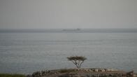 米・イランの着実な交渉、ホルムズ海峡の安全航行再開に期待＝経産相
