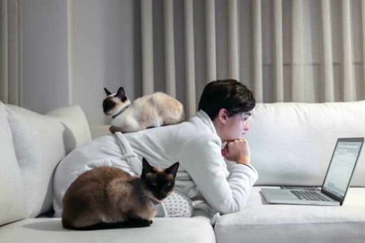 あなたはネコにどう思われている？　oonal-iStock