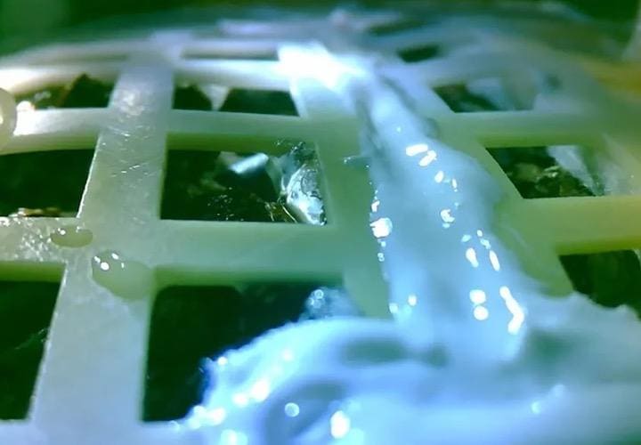 ミニ生態系が積み込まれていた　Chongqing University