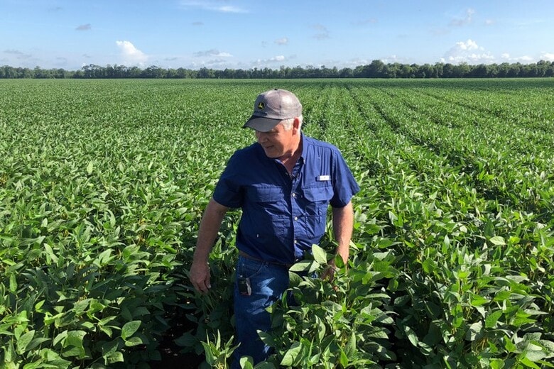 ７月２４日、米トランプ政権は２４日、全米の農家に対し最大１２０億ドルの支援を行うと発表した。米ルイジアナ州で９日撮影（２０１８年　ロイター/Aleksandra Michalska）