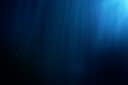 深海のイメージ　FlashMovie-shutterstock