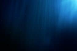 インド洋の水深4500メートルより深い場所で発見された「巨大生物の墓場」…その正体は？