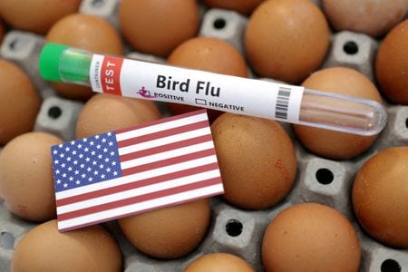 ３月２４日、米国は鳥インフルエンザの感染拡大で鶏卵価格が高騰し、ブラジルからの鶏卵輸入がほぼ２倍に急増した。２０２３年１月撮影のイメージ写真（２０２５年　ロイター/Dado Ruvic/Illustration）