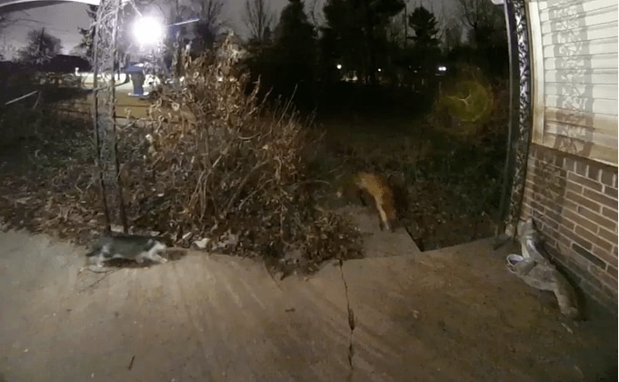 スクリーンショット (64).png