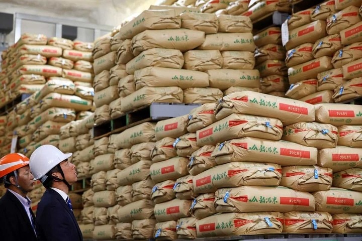 2025年5月30日、備蓄米を保管する神奈川県内の倉庫を視察した小泉農林水産大臣（当時）　REUTERS/Kim Kyung-Hoon