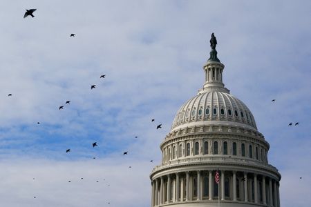 写真は連邦議会議事堂。1月4日、REUTERS/Elizabeth Frantz