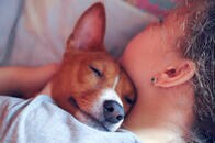 「犬は訓練を受けなくても苦しんでいる飼い主を救おうとする」との研究結果