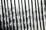 イギリスで「使い捨て」が流行語大賞になったわけ