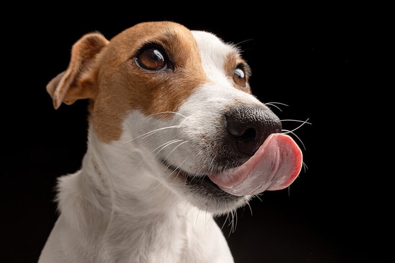 （写真はイメージです）　sergey kolesnikov-Shutterstock