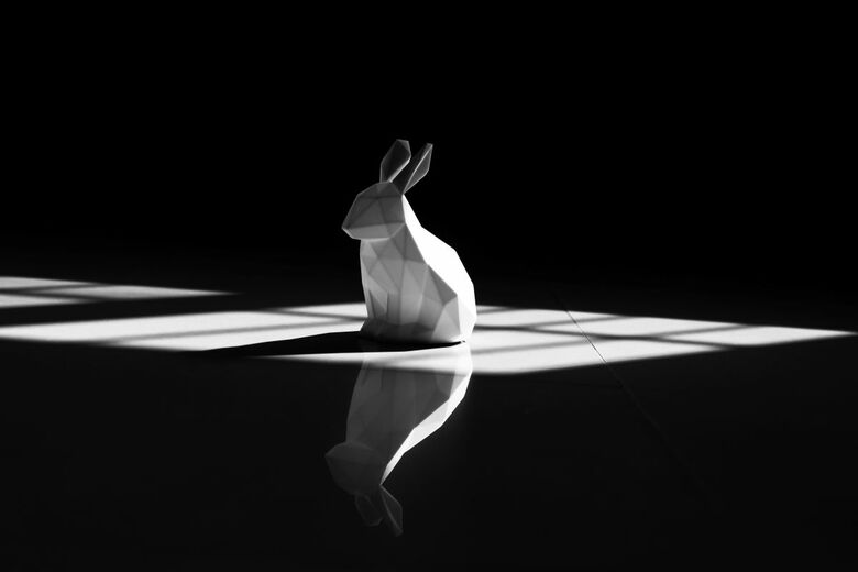 動物の遺伝子組み換えめぐり論議が続く（写真はイメージです）　Li Lin-Unsplash
