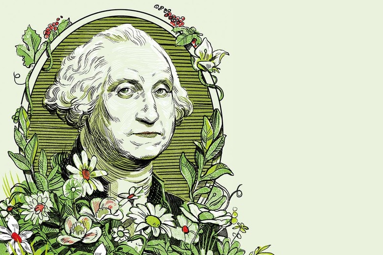 ILLUSTRATION BY BRITT SPENCER