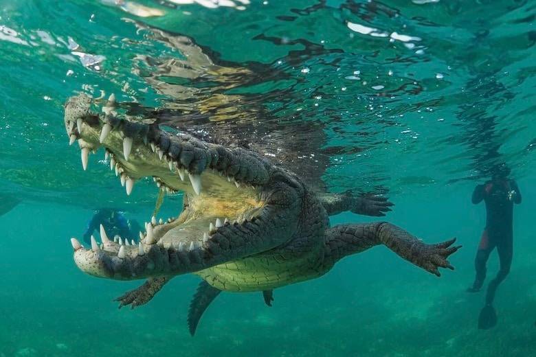 （写真はイメージです）　Jesus Cobaleda-Shutterstock