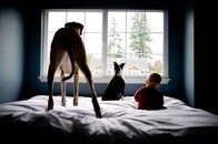 家を買ったら付いてきた...思いがけない愛犬の「お揃い」ゲット