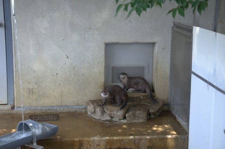 市川市動植物園