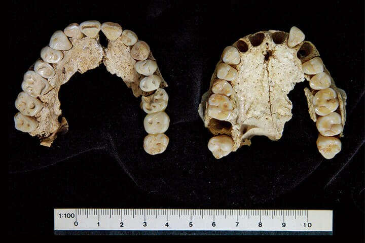 アレクサンドロス大王の親族