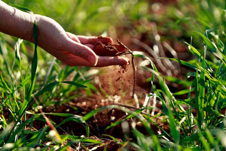 土が雨水を吸収できなくなったら　Tim Wimborne-REUTERS