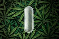 抗生物質の効かない耐性菌に大麻が効く？