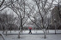 【特別寄稿】作家・閻連科：この厄災の経験を「記憶する人」であれ