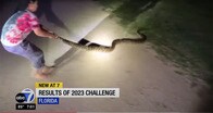 【動画】計209匹を駆除...フロリダ州の恒例イベント「ニシキヘビ・チャレンジ2023」での格闘シーン