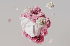 美という、いわく言い難いもの