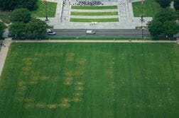 米首都公園に不審な暗号、トランプ氏暗殺示唆か　当局が調査