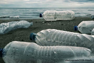 世界の海が死んでいく