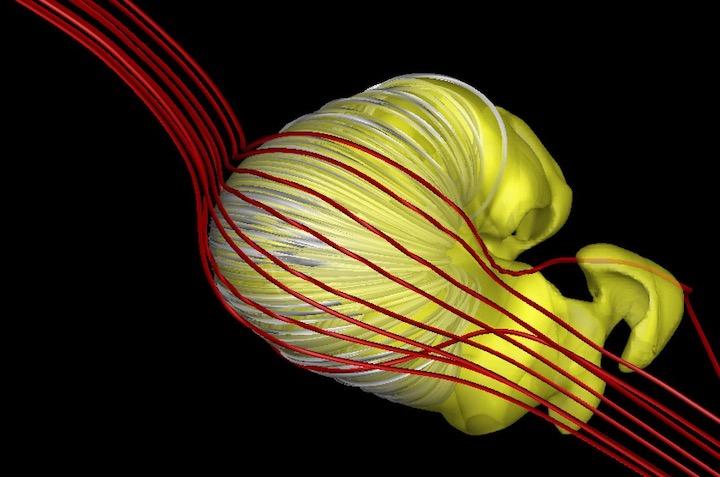 太陽圏の形状は「しぼんだクロワッサン」のような形をしている......  （M. Opher)