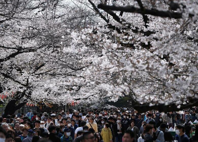 22日、東京の上野公園で撮影（2020年　ロイター/Issei Kato）