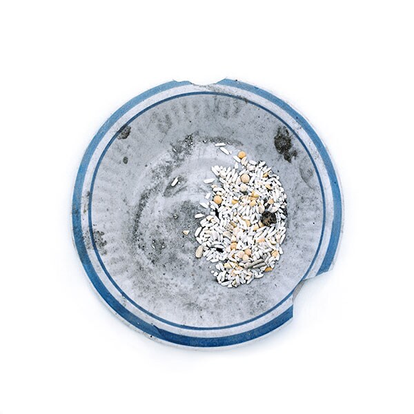 カメルーン北部のメメで避難生活を送る難民の食事。欠けたボウルには米粒と乾燥豆がほんの少し載せられているだけだ