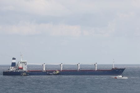 ウクライナの港を出たウクライナ産穀物輸出再開の最初の貨物船が、レバノンへ向かう途中でボスポラス海峡を通過した。イスタンブール近くで撮影（２０２２年　ロイター/Umit Bektas）