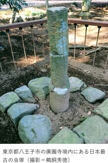 東京都八王子市の廣園寺境内にある日本最古の虫塚