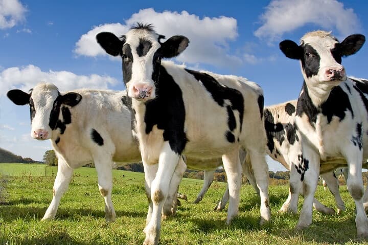 （写真はイメージです）　ThinkDeep-iStock