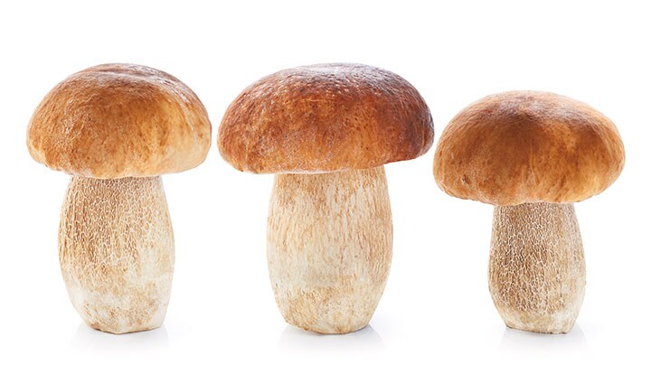 抗酸化力トップは「キノコの王様」ポルチーニ　VitalSSSS/iStock.