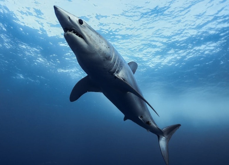 （写真はイメージです）　Ryan Cake-iStock