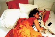 相棒をベッドに入れる？入れない？　愛犬家の悩みを「睡眠効率」から考えたら...