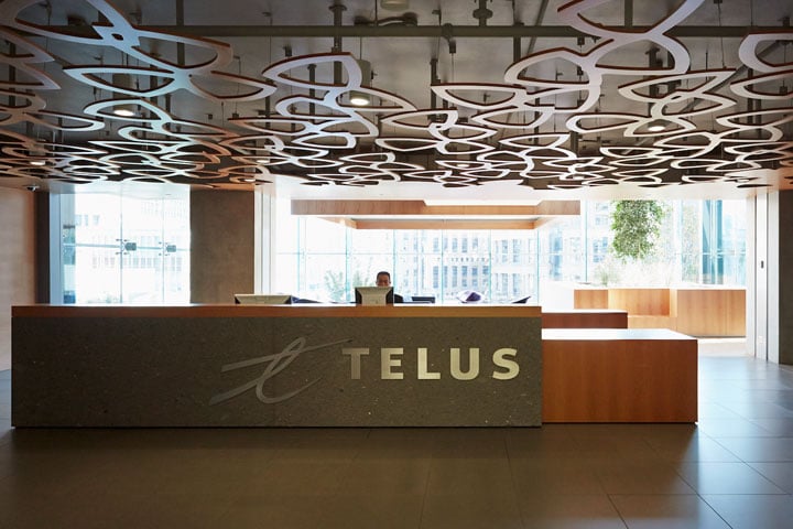 wsTelus_7.jpg