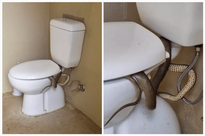 スクリーンショット 2023-10-27 17.01.29.png