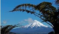 自然豊かな観光大国ニュージーランドで水質汚染  「100％ピュア」は看板倒れか