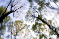 パニック発作の原因の多くは「ガス」だった...「ビタミンB12」と食事療法とは？