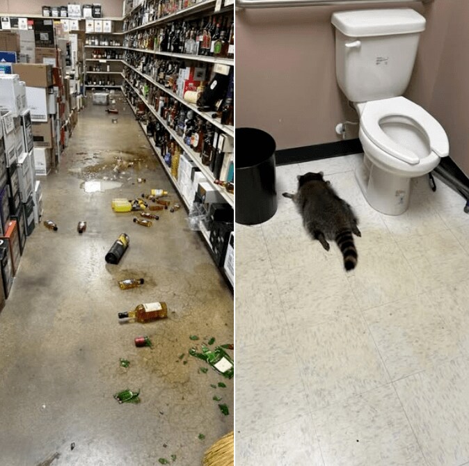 スクリーンショット (37).png