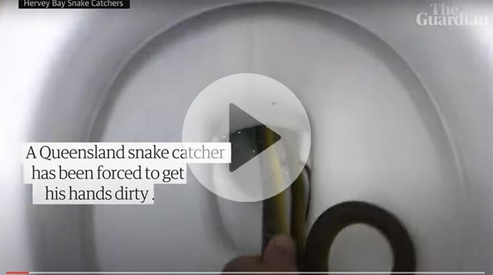 ※動画は本文内で再生できます　Guardian Australia-YouTube